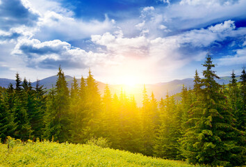Wall Mural - Picturesque sunrise on background of beautiful mountains