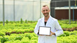 © Prathankarnpap - Portrait of caucasian male agricultural researcher showing digital tablet while standing in hydroponic greenhouse