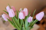 Fototapeta Tulipany - tulipes rose