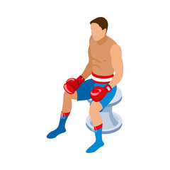 Sticker - Isometric Boxer Illustration