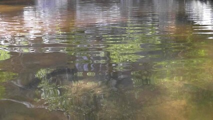 Poster - Rippled water surface 4k slow motion background