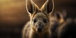 The background of this close-up of a young wallaby is blurred. Generative AI