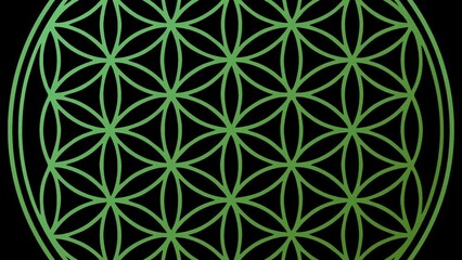 Wall Mural - flower of life spiritual symbol color change chakra healing