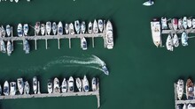 Brighton Marina, Top Down Drone Shot Of Moored Boats And A Seagull Flying.