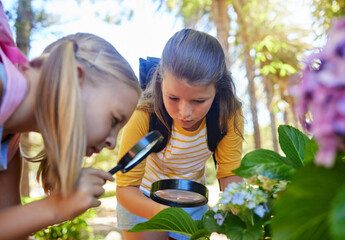 Learning, magnifying glass and girls with leaf outdoor for looking at plants together. Education, children and magnifier lens to look at flowers exploring nature, forest or garden on school trip.
