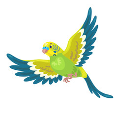 Sticker - One small green budgerigar flies. In cartoon style. Isolated on white background. Vector flat illustration