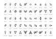 Gender and sexual orientation identity vector illustration symbol sign icons