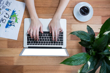 Poster - Cropped image of woman using laptop