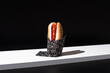 © ADDICTIVE STOCK - Appetizing hot dog on napkin over black table