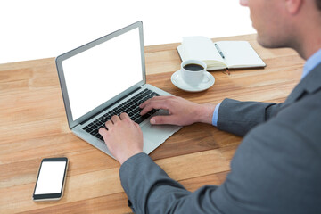 Poster - Businessman using laptop