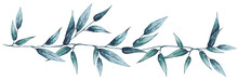 Bamboo Leaves And Leaves Long Vine Watercolor Leaves In Long Stem Or Branch Swag For A Border Design.