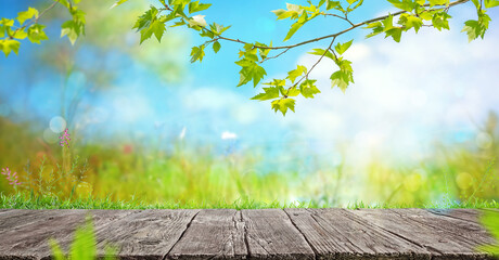 Wall Mural - a Wooden table and blurred spring landscape background with flowers and grass