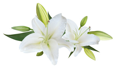 white lily flower bouquet isolated on transparent background