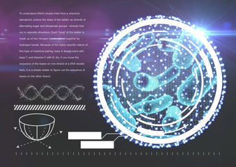 Poster - Digital image of DNA interface