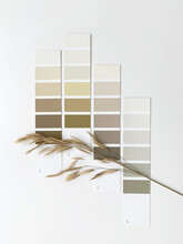 Concept: Nature Inspires Colors. Samples Of Paints  With Dried Grass On A White Background.  Neutral Beige And Gray Color Palette For Decorating And Design. Natural Pastel Colors For Home Renovation