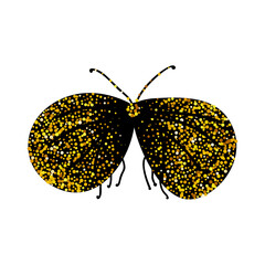Wall Mural - black and gold glitter moth butterfly, celestial vector fairy insect illustration