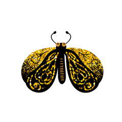 Wall Mural - black and gold glitter moth butterfly, celestial vector fairy insect illustration