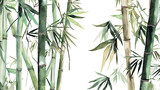 Fototapeta Fototapety do sypialni na Twoją ścianę - Tropical bamboo palm leaf Wallpaper, Luxury nature leaves pattern design, Hand drawn watercolor design for fabric, print, cover, banner and invitation, Generative AI