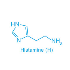 Canvas Print - Diagram of histamine