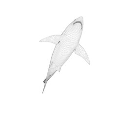 Wall Mural - Shark vector image material 2