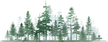Forest Trees Watercolor Vector Illustration. Pine Tree Panorama View.