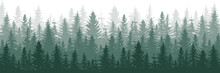 Forest Panorama View. Pine Tree Landscape Vector Illustration.  Spruce Silhouette. Banner Background.