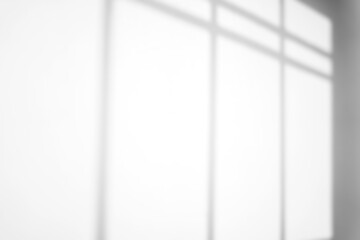 Poster - minimalist window shadow frame overlay
