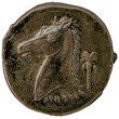 antike punische Münze: Pferdekopf und -Hals mit geflochtener Mähne, Palme und Schriftzeichen