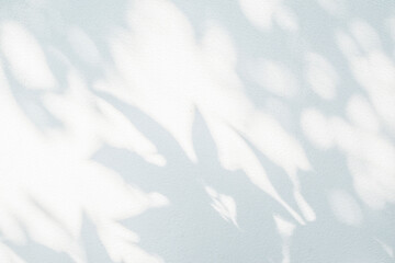 Wall Mural - Shadow and sunshine of leaf reflection. Jungle leaves tree gray darkness shade and light on wall wallpaper, shadows overlay effect, mockup design. Grey tropical shadow foliage artistic background