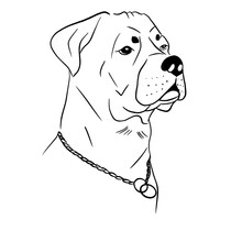 Vector Illustration Hand Drawn Rottweiler ,line Art With Black Lines