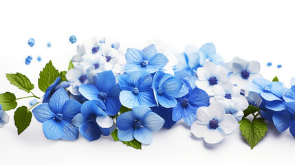 blue flower, white background, masterpiece, high quality