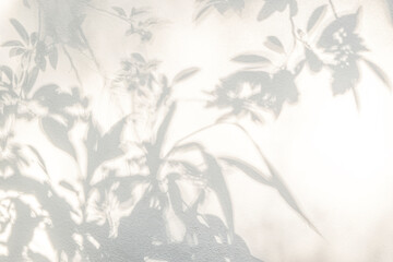 Aufkleber - Shadow and sunshine of leaves reflection. Jungle gray darkness leaf shade and lighting on concrete wall for wallpaper, shadows overlay effect. Blur shadow abstract background