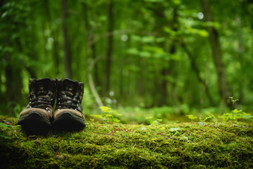 pair of leather brown trekking shoes on blurred background of green forest. close up of hiking boots