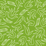 Fototapeta Sypialnia - Aloe Vera pattern background set. Isolated Aloe Vera set. Vector