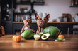 dogs with avocado
