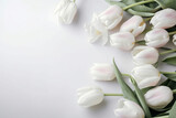 Fototapeta Tulipany - bouquet of white tulips