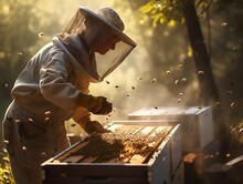 Beekeeper Is Working With Bees In Apiary. Beekeeping Concept.