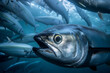 tuna in the sea attacks a flock of herring generated by AI