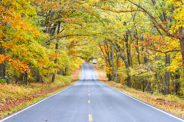 Wall Mural - Autumn foliage in Shenandoah National Park, Virginia - United States