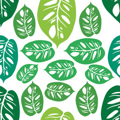 Wall Mural -  Green monstera holed leaves.Beautiful composition of leaves with seamless pattern. Adam's Rib Leaves. Illustration isolated on transparent background.
