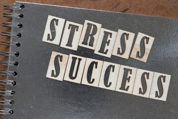 Canvas Print - stress success