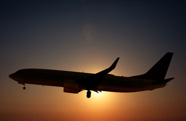 Wall Mural - Plane in sky against sun. Flight during sunset