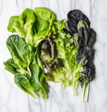 Different Types Of Lettuce On Marble