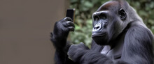 Generative AI.  Say Cheese, Hilarious Selfie Of A Gorilla With A Cell Phone.
