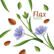 linseed oil, flaxseed and flowers illustration