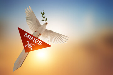 Leinwandbilder - Dove carrying olive leaf branch,MINE text,skull,crossbones on red triangle sign on Beautiful light sky,International Day for Mine Awareness and Assistance in Mine Action,international day of peace.