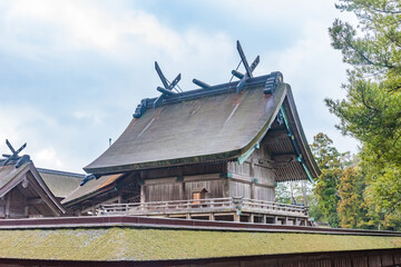 Poster - Honden main hall, National Treasure, of the Izumo Taisha grand shrine in Izumo City, Shimane Prefecture, Japan