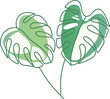  Monstera Albo, Leaf House Plant Illustration Art