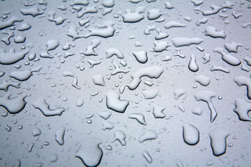 Canvas Print - raindrops on the bonnet