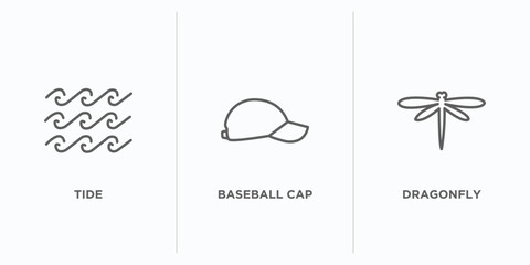 Poster - season outline icons set. thin line icons such as tide, baseball cap, dragonfly vector. linear icon sheet can be used web and mobile